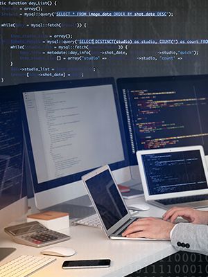 Development & IT Services